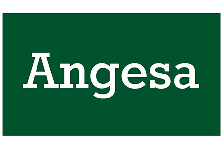 ANGESA